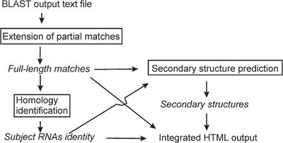 rboAnalyzer: A Software to Improve Characterization of Non-coding RNAs From Sequence <mark class="highlighted">Database Search</mark> Output